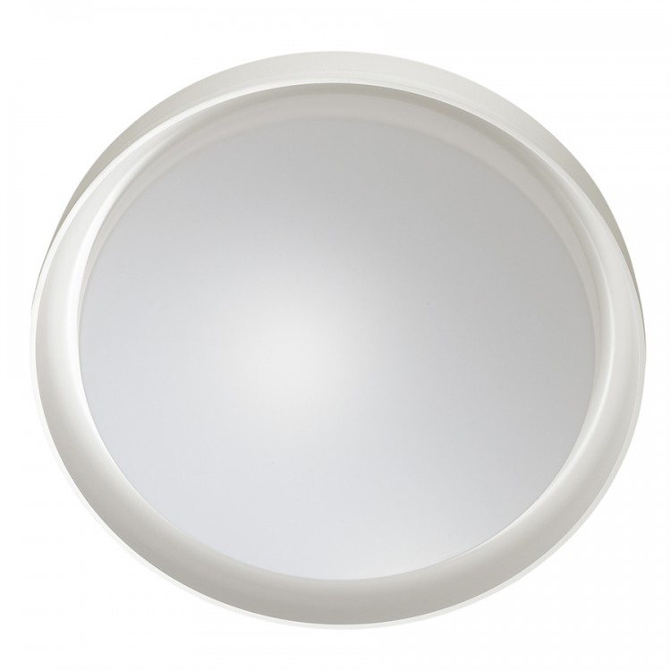 Настенно-потолочный светильник Sonex 3030/DL LampSmart