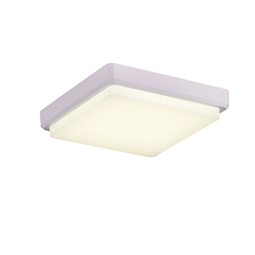 Светильник потолочный Evoluce SLE200212-01