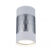 Потолочный светильник Elektrostandard DLN110 GU10 белый/серебро