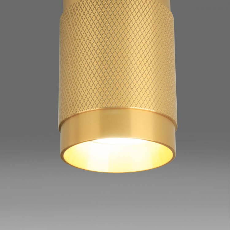 Потолочный светильник Elektrostandard DLN109 GU10 золото