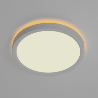 Светильник настенно-потолочный Citilux Norma CL748180