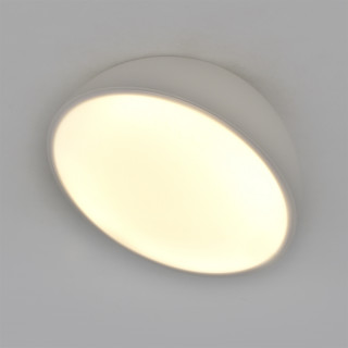 Светильник потолочный Escada 20025SMA/01LED