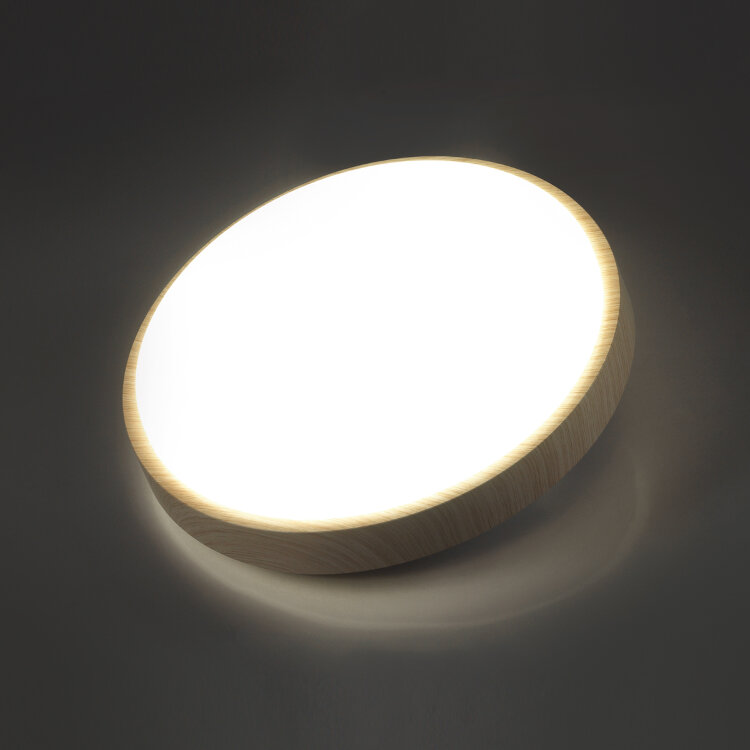 Настенно-потолочный светодиодный светильник Sonex 7607/EL