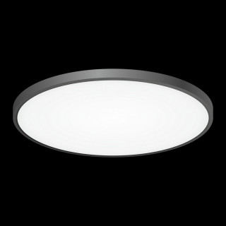 Потолочный светильник CITILUX CL738501V