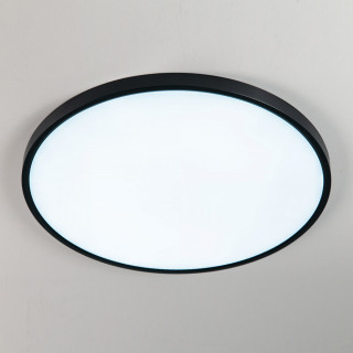 Потолочный светильник CITILUX CL738501V