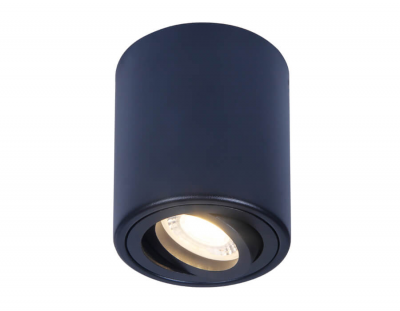 Потолочный светильник Ambrella TN226