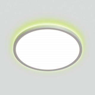 Светильник настенно-потолочный Citilux Norma CL749320