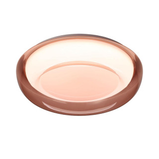 Настенно-потолочный светильник Sonex Color Portman 7778/DLN