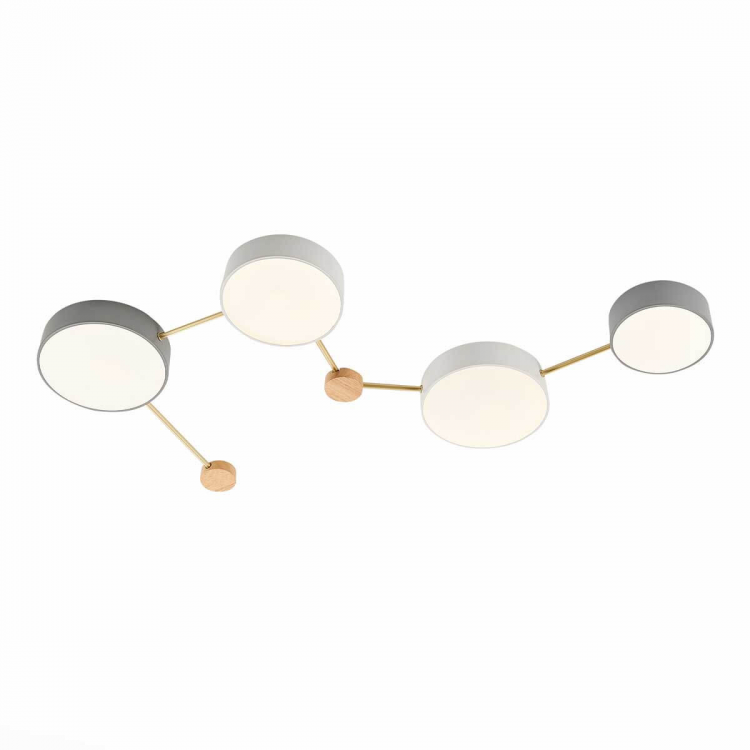 Потолочный светильник Evoluce SLE600102-04