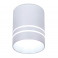 Потолочный светодиодный светильник Ambrella TN241