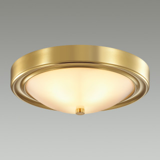 Настенно-потолочный светильник Lumion Nina 5259/2c