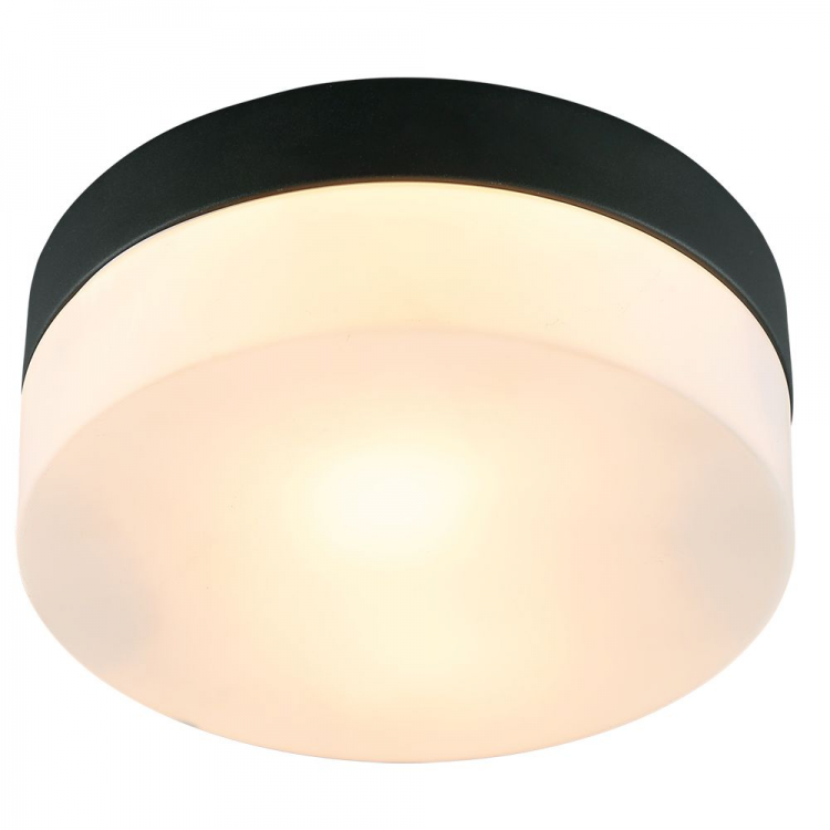 Потолочный светильник Arte Lamp A6047PL-1BK