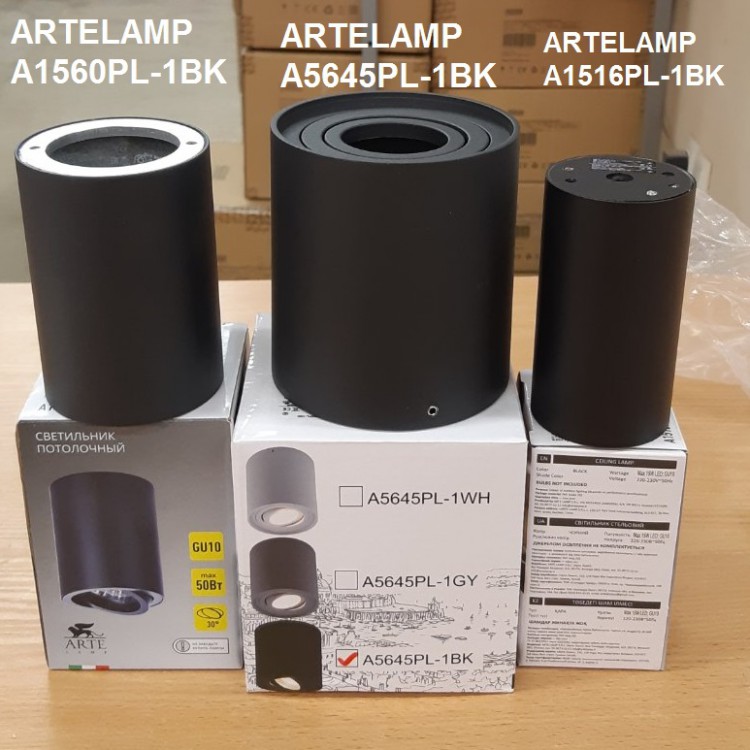 Светильник накладной ARTELAMP A1516PL-1BK