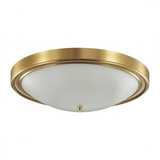 Настенно-потолочный светильник Lumion Nina 5259/4c