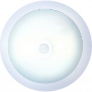 Потолочный светильник  GLOBO 48207-2S