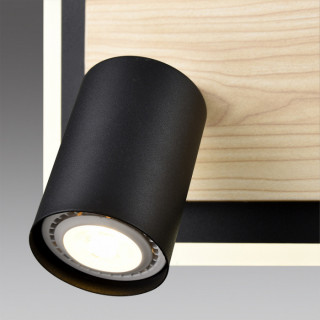 Спот Lumion Pine 8025/19WL