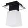Потолочный светильник Lussole Loft Lente GRLSC-2507-01 